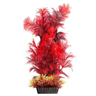 AQUA ONE ECOSCAPE MEDIUM CABOMBA RED