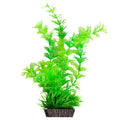AQUA ONE ECOSCAPE MEDIUM AMBULIA GREEN