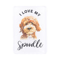 SPLOSH PET LOVERS SPOODLE ACRYLIC MAGNET
