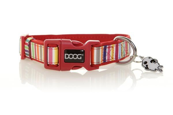 DOOG Neoprene Dog Collar SCOOBY - Medium