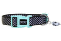 DOOG Neoprene Dog Collar PONGO - Medium