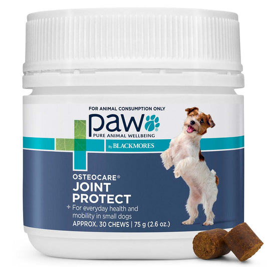PAW BLACKMORES OSTEOCARE JOINT PROTECT CHEWS FOR SMALL DOGS 75GM