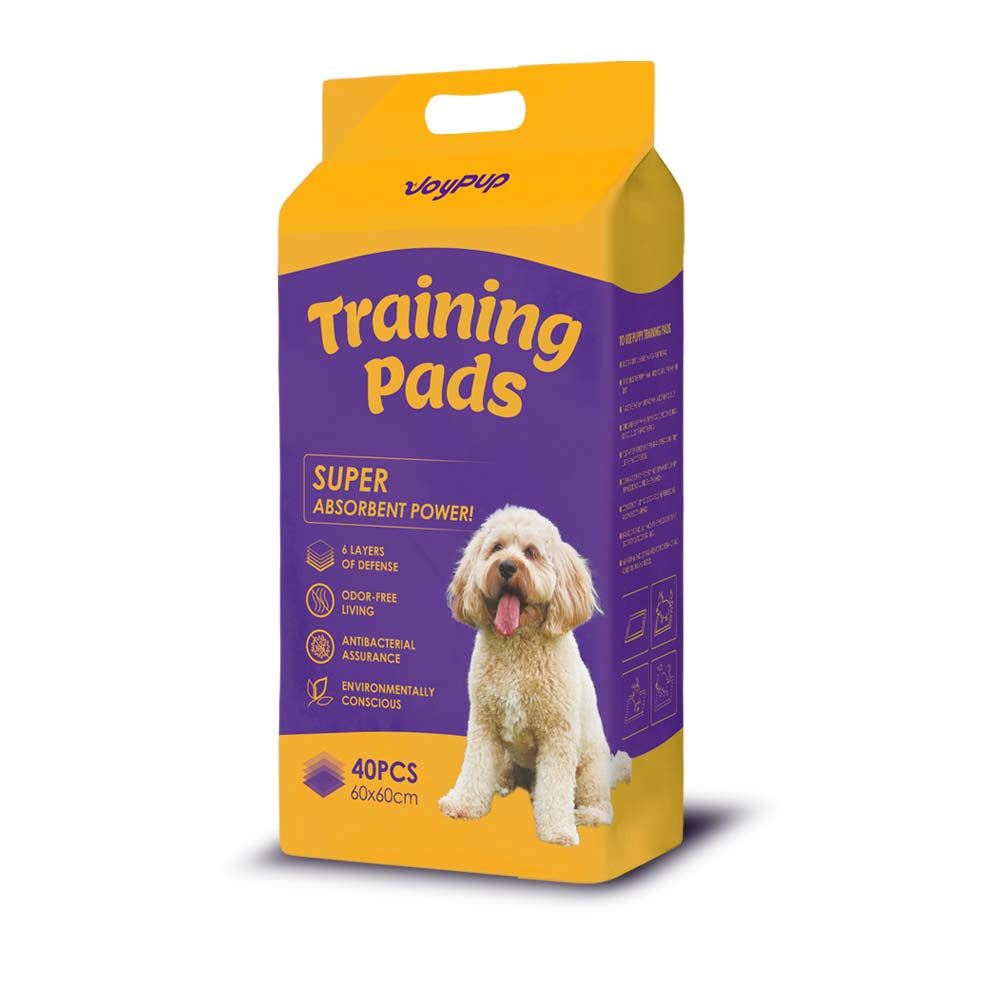 JOYPUP Super Absorbent Regular Training Pad 40pk