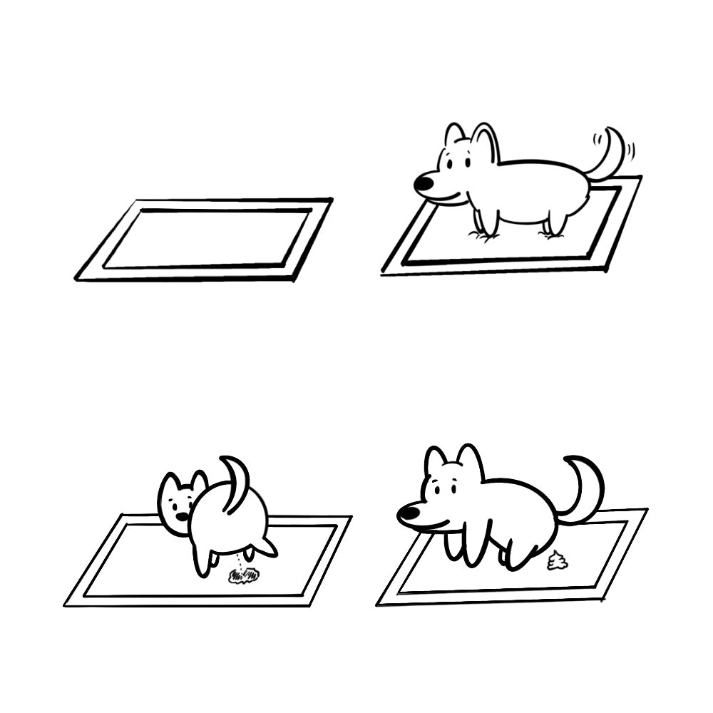 JOYPUP Super Absorbent Regular Training Pad 40pk