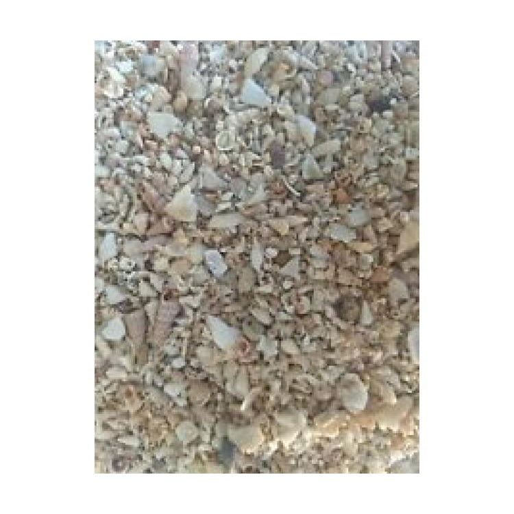 MEDIUM SHELL GRIT 1KG