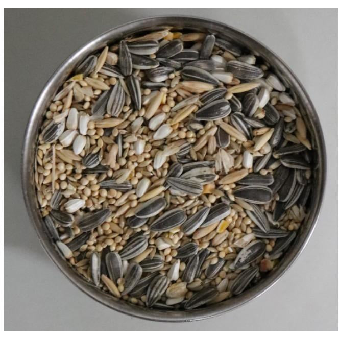 MURPHY'S PET PRODUCTS SMALL PARROT MIX 1KG