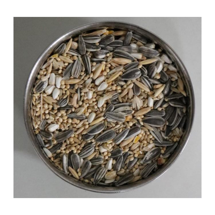 MURPHY'S PET PRODUCTS SMALL PARROT MIX 1KG