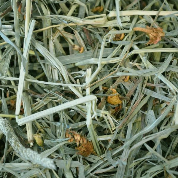 OXBOW BOTANICAL HAY 425G