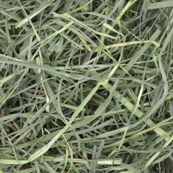 OXBOW ORCHATD GRASS HAY 425G