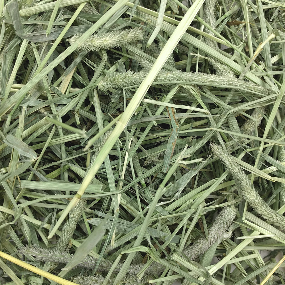 OXBOW WESTERN TIMOTHY HAY 425GM