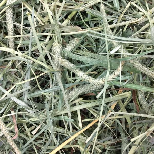 OXBOW HAY BLEND TIMOTHY & ORCHARD GRASS 567G