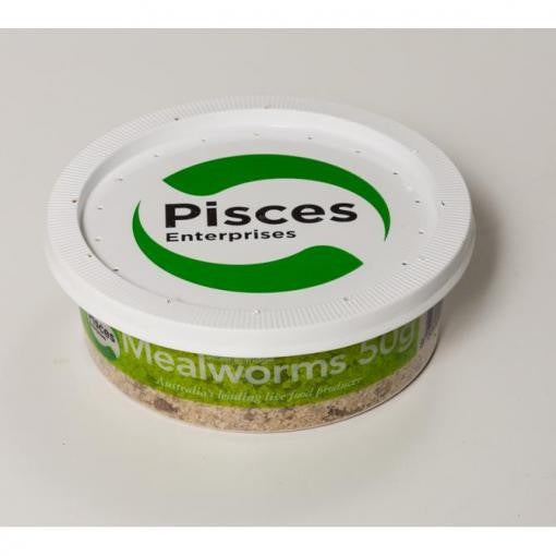 PISCES ENTERPRISES MEALWORMS 50G TUB