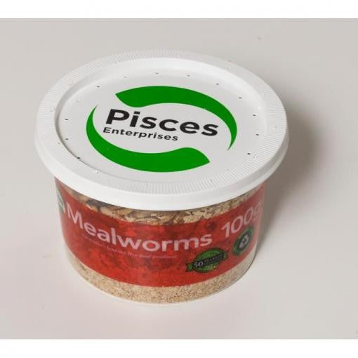 PISCES ENTERPRISES MEALWORMS 100G TUB