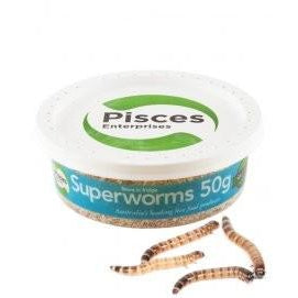 PISCES ENTERPRISES SUPERWORMS 50G TUB