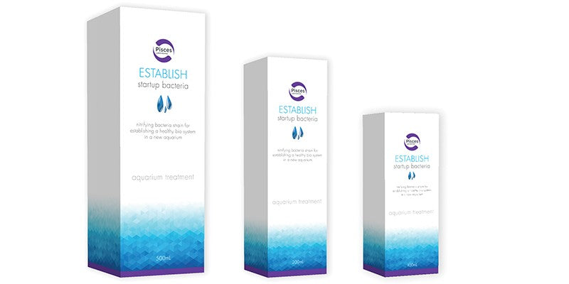 ESTABLISH STARTUP BACTERIA 100ML